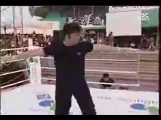 taekwondo vs muay thai