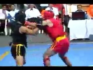 wushu sanda world championship 2003