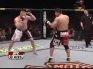 fedor emelianenko vs brock lesnar