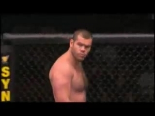 gabriel gonzaga - chris tuchscherer