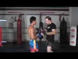 sk skorpion scorpion zp ua muay thai clinch