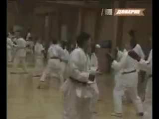 karate-do