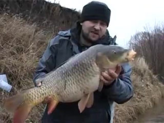 sazan on the moscow river