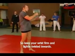 fedor emelianenko seminar on sambo - part 1