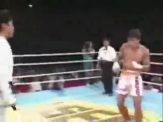 muay thai vs taekwondo