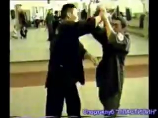 oriental martial arts