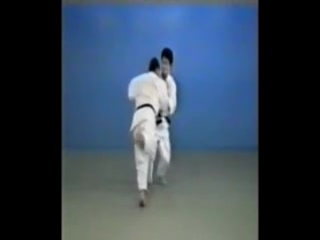 65 judo throws