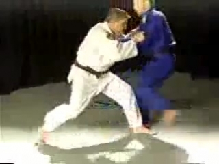 judo (throws, sweeps)