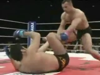 mirko crocop filipovic-knock you out-by balkan bully