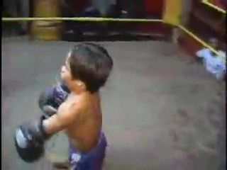 dwarf midgets killer muay thai boxing nasty fighting