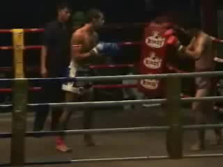 muay thai