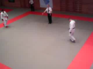 jiu-jitsu 2008