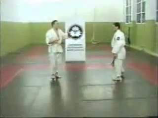 siberian jiu-jitsu association