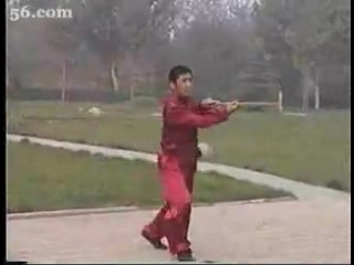 shaolin damo zhang (shaolin cane damo)