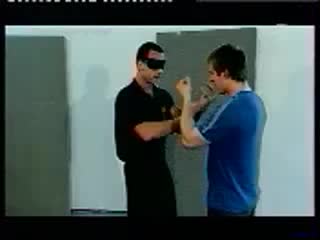 wing chun (2)