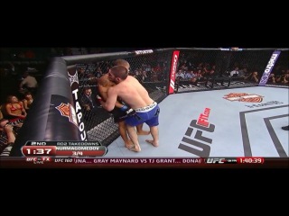 khabib the eagle nurmagomedov hl 2013